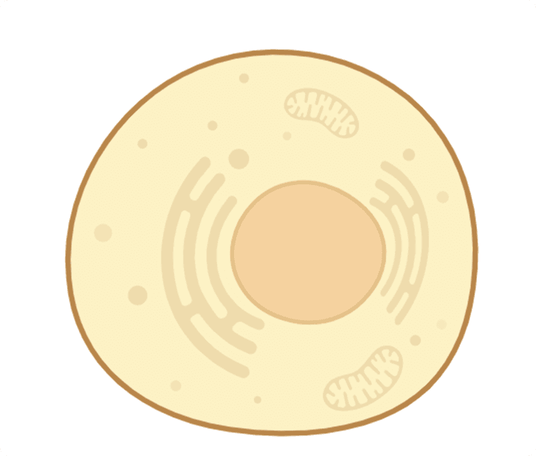 Proven cellular defense