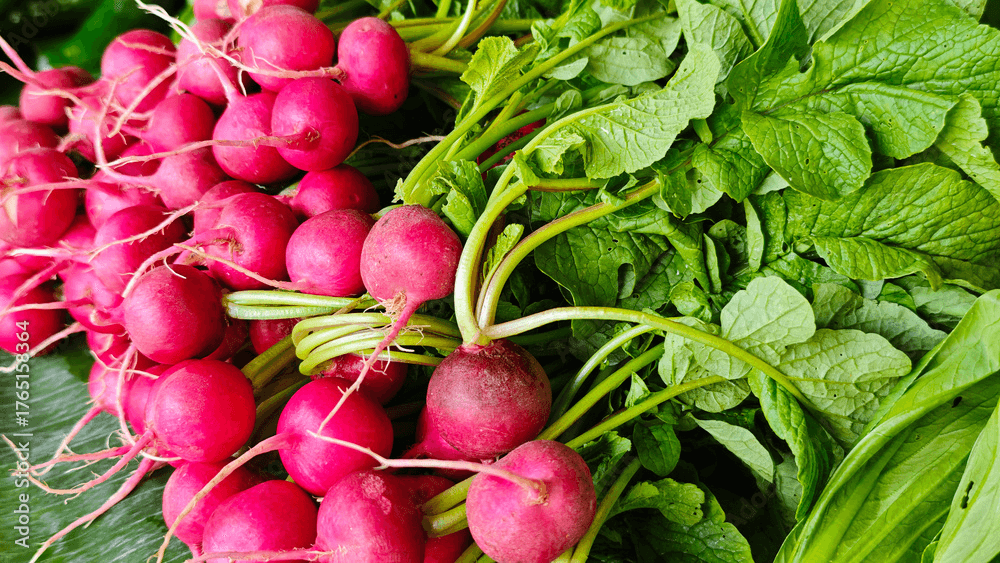 Natural Preservative System (Leuconostoc/Radish Root Ferment Filtrate + Pentylene Glycol)